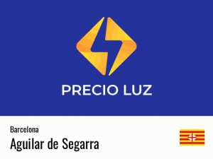 Precio luz hoy horas Aguilar de Segarra