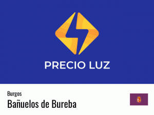 Precio luz hoy horas Bañuelos de Bureba