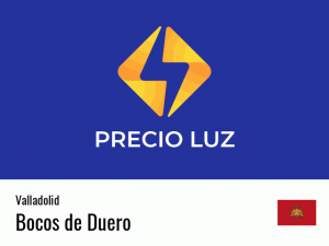 Precio luz hoy horas Bocos de Duero