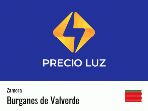 Precio luz hoy horas Burganes de Valverde