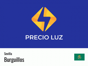 Precio luz hoy horas Burguillos