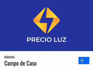 Precio luz hoy horas Campo de Caso