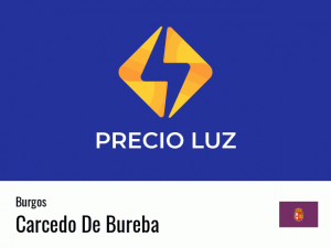 Precio luz hoy horas Carcedo De Bureba