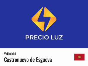 Precio luz hoy horas Castronuevo de Esgueva