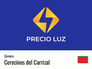 Precio luz hoy horas Cerecinos del Carrizal