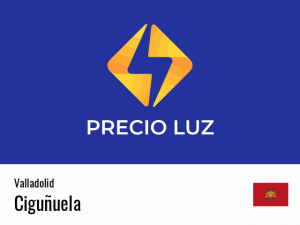 Precio luz hoy horas Ciguñuela