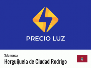 Precio luz hoy horas Herguijuela de Ciudad Rodrigo