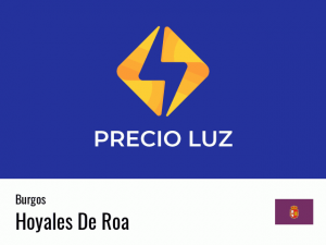 Precio luz hoy horas Hoyales De Roa