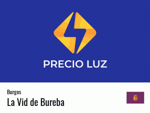 Precio luz hoy horas La Vid de Bureba