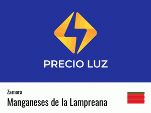 Precio luz hoy horas Manganeses de la Lampreana