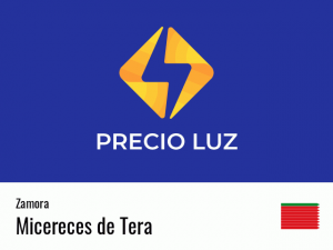 Precio luz hoy horas Micereces de Tera