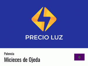 Precio luz hoy horas Micieces de Ojeda