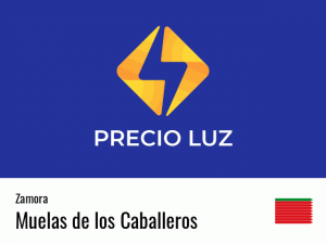 Precio luz hoy horas Muelas de los Caballeros