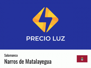 Precio luz hoy horas Narros de Matalayegua