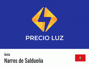 Precio luz hoy horas Narros de Saldueña