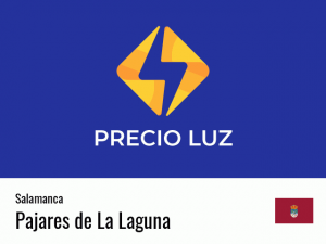 Precio luz hoy horas Pajares de La Laguna