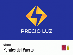 Precio luz hoy horas Perales del Puerto