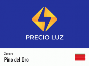 Precio luz hoy horas Pino del Oro