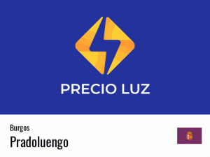 Precio luz hoy horas Pradoluengo