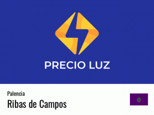 Precio luz hoy horas Ribas de Campos