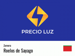 Precio luz hoy horas Roelos de Sayago