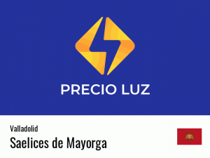Precio luz hoy horas Saelices de Mayorga