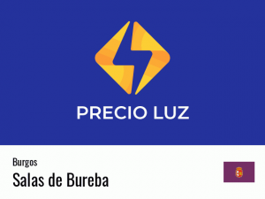 Precio luz hoy horas Salas de Bureba