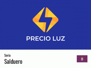 Precio luz hoy horas Salduero