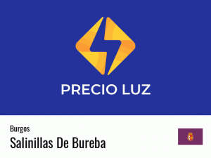 Precio luz hoy horas Salinillas De Bureba