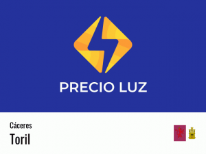 Precio luz hoy horas Toril