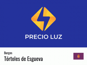 Precio luz hoy horas Tórtoles de Esgueva