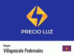 Precio luz hoy horas Villagonzalo Pedernales