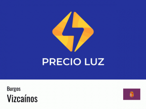 Precio luz hoy horas Vizcaínos